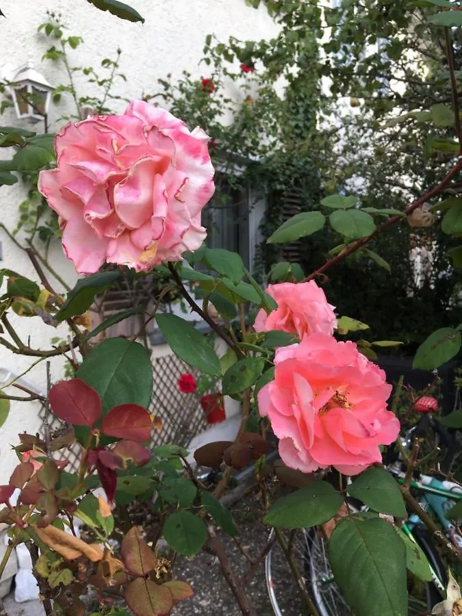 Vintage-Mansarde Uber Wilden Garten Stuttgart Homestay