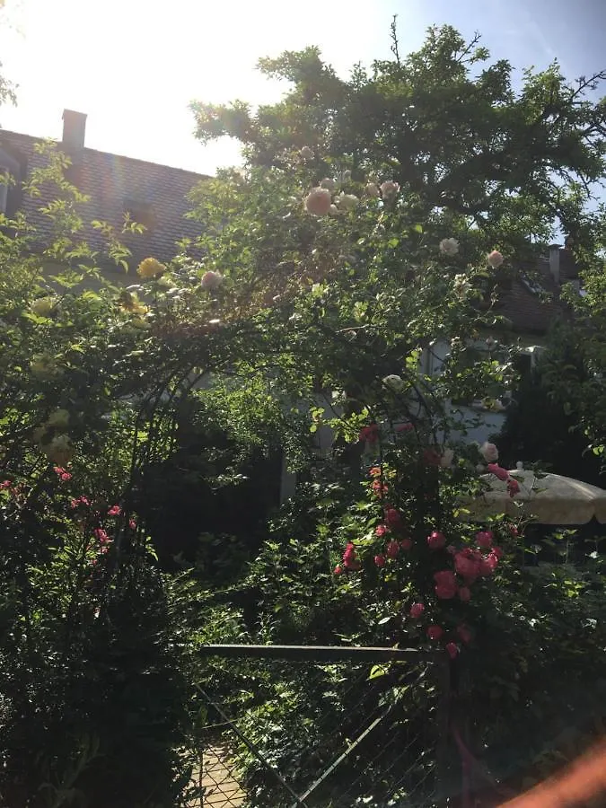 Vintage-Mansarde Uber Wilden Garten Stuttgart