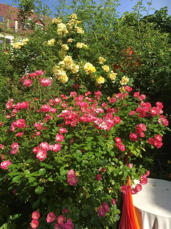 Homestay Vintage-Mansarde Uber Wilden Garten Stuttgart